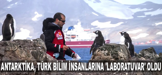 Antarktika, Türk bilim insanlarına ‘laboratuvar’ oldu