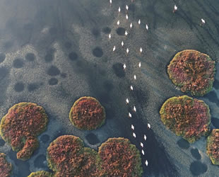 Gediz Deltası’nın 'UNESCO Dünya Doğa Mirası' olması için rapor hazırlandı