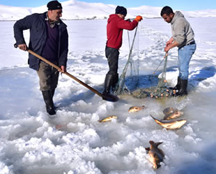 Ahlatlılar, Nazik Gölü’nde Eskimo usulü balık avlıyorlar