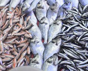 Balık fiyatları bir türlü düşmüyor
