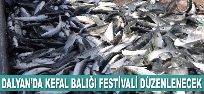 Dalyan’da Kefal Balığı Festivali düzenlenecek
