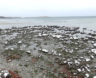 Silivri'de deniz 150 metre çekildi