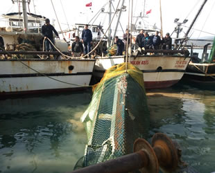 Mersinli balıkçıların ağına sürat teknesi takıldı