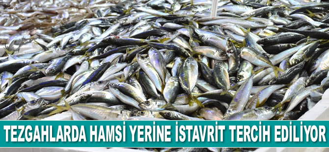 Tezgahlarda hamsi yerine istavrit tercih ediliyor