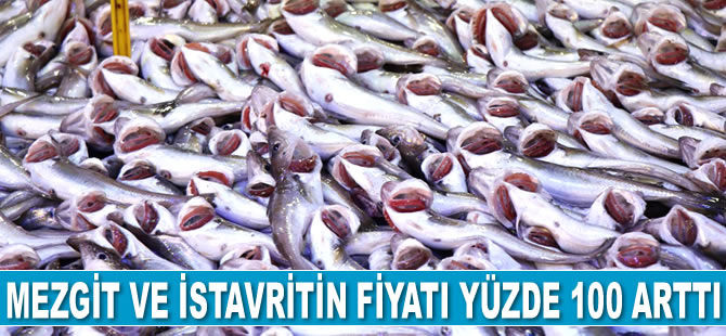 Mezgit ve istavritin fiyatı yüzde 100 arttı