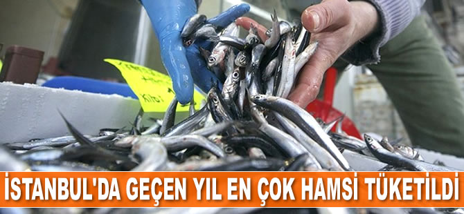 2018’de İstanbul'da en çok hamsi tüketildi