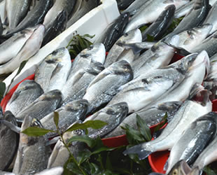 Ordu'da tezgahları kültür balıkları süslüyor