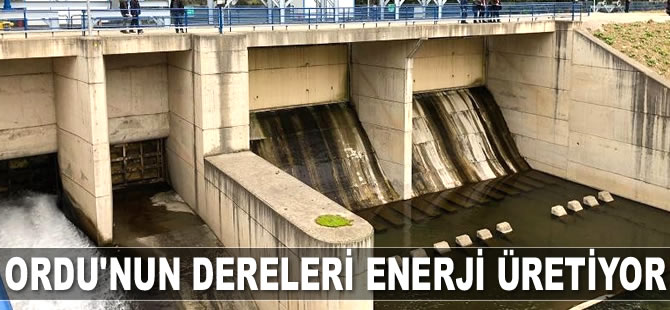 Ordu’nun dereleri enerji üretiyor
