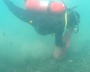 Bodrum’da deniz dibi temizliği yapıldı