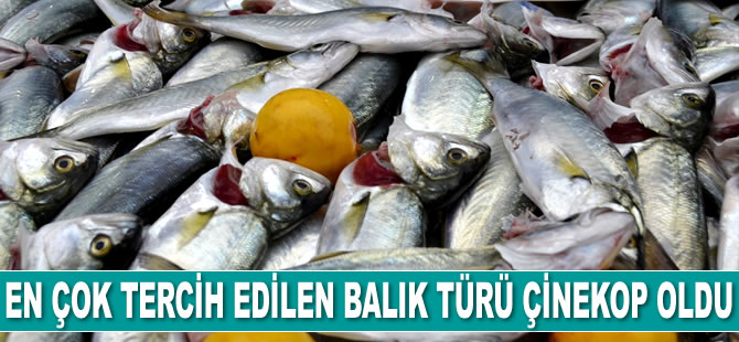 En çok tercih edilen balık türü çinekop oldu