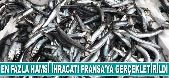 En fazla hamsi ihracatı Fransa'ya gerçekletirildi