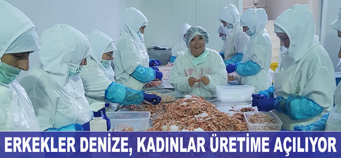 Balıkçılık sektöründe kadın istihdamı sektör sanayileştikçe artıyor