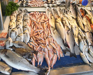 Türkiye’nin yeni 2023 hedefi 2 milyar dolarlık su ürünleri ihracatı gerçekleştirmek