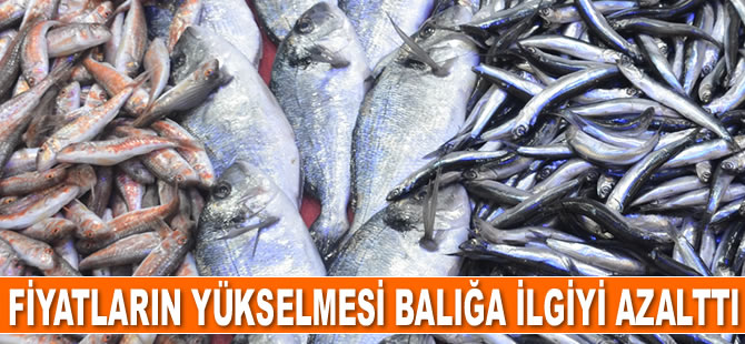 Fiyatların yükselmesi balığa ilgiyi azalttı