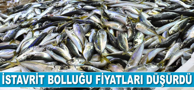 İstavrit bolluğu fiyatları düşürdü