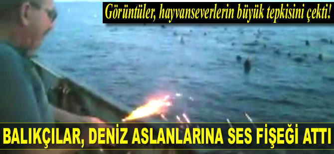 Kanadalı balıkçılar, hayvenseverlerin tepkisine neden oldu