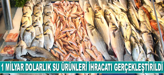 Türkiye, 1 milyar dolarlık su ürünleri ihracatı gerçekleştirdi