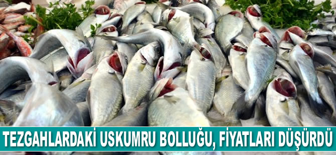 Tezgahlardaki  uskumru bolluğu, fiyatları düşürdü