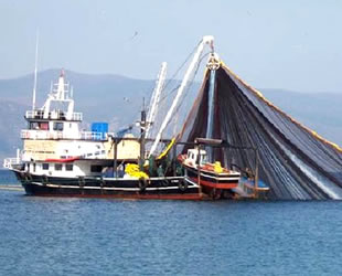 Kocaman Balıkçılık’tan yapay resif uygulamasına destek geldi