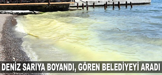 Marmaris'te deniz sarıya boyandı, gören belediyeyi aradı