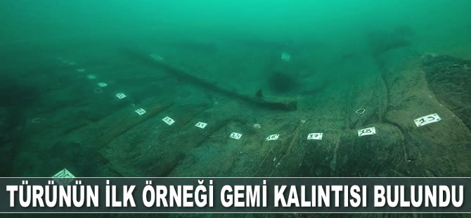 Mısır’da türünün ilk örneği bir gemi kalıntısı bulundu