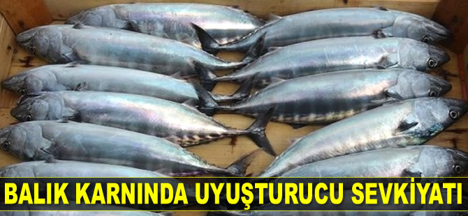 Mersin'de iki kişi, balık karnında uyuşturucu sevkiyatı yaparken yakalandı