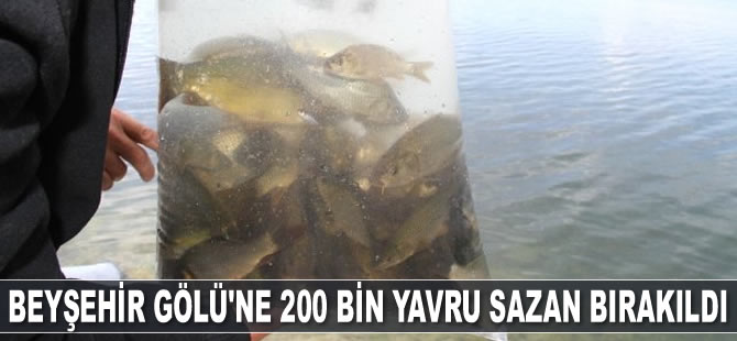 Beyşehir Gölü’ne 200 bin yavru sazan bırakıldı