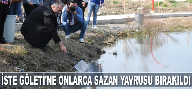İSTE Göleti'ne onlarca sazan yavrusu bırakıldı