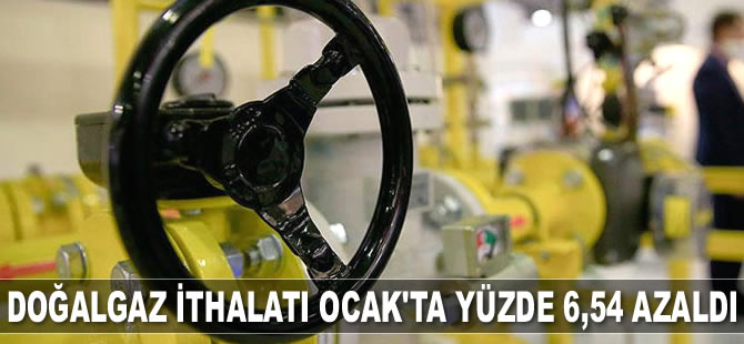 Doğalgaz ithalatı Ocak ayında yüzde 6,54 azaldı