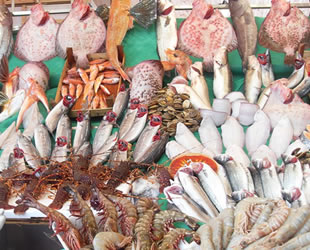 Türkiye'de su ürünleri işleyen firma sayısı belli oldu