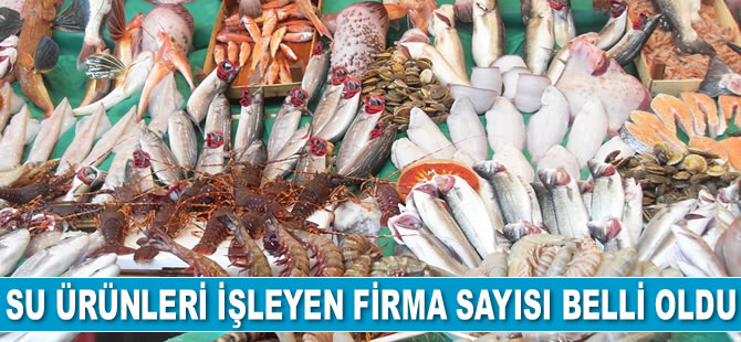 Türkiye'de su ürünleri işleyen firma sayısı belli oldu