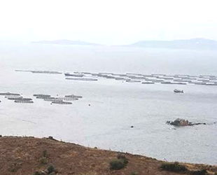 Karaburun'da Özel Çevre Koruma Alanı’nda balık çiftliğine izin verildi