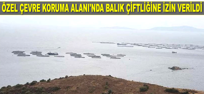 Karaburun'da Özel Çevre Koruma Alanı’nda balık çiftliğine izin verildi