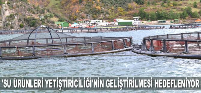Samsun’da ‘Su Ürünleri Yetiştiriciliği’nin geliştirilmesi hedefleniyor