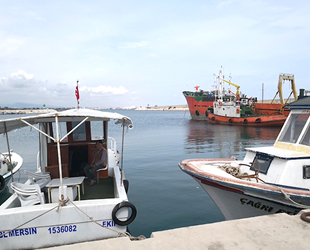 WWF Türkiye, küçük ölçekli balıkçılığı destekliyor