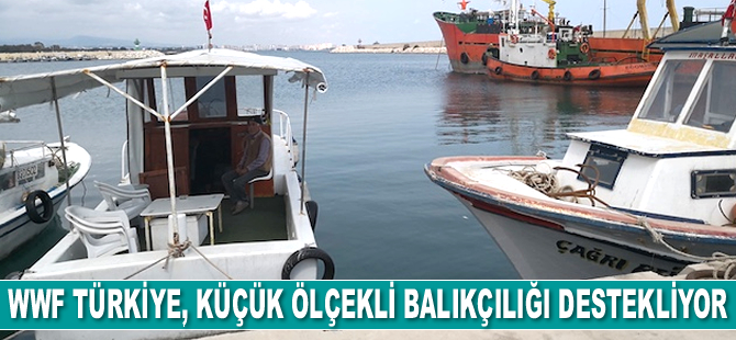 WWF Türkiye, küçük ölçekli balıkçılığı destekliyor
