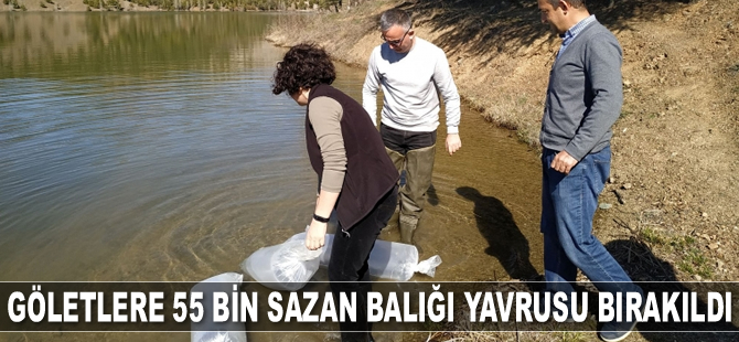 Isparta’da göletlere 55 bin sazan balığı yavrusu bırakıldı