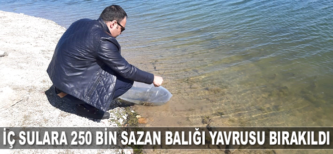 Eskişehir'de iç sulara 250 bin sazan balığı yavrusu bırakıldı