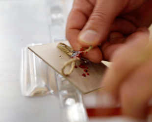 32 ilde oy verme işlemi sona erdi, sonuçlar ne zaman açıklanacak?