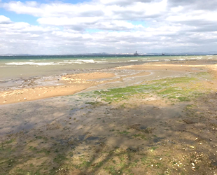 Yalova’da deniz suyu 20 metre çekildi