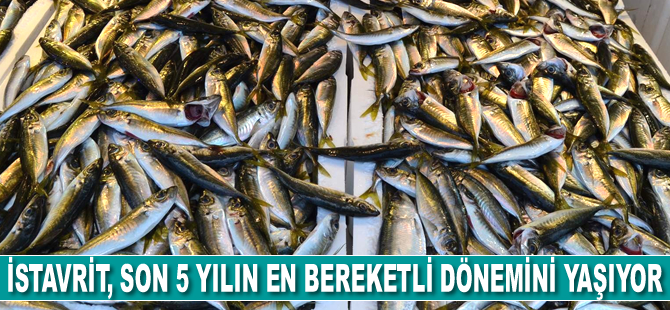 İstavrit, son 5 yılın en bereketli dönemini yaşıyor