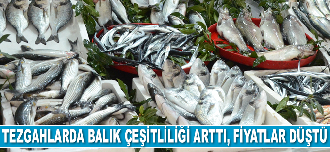 Tezgahlarda balık çeşitliliği arttı, fiyatlar düştü