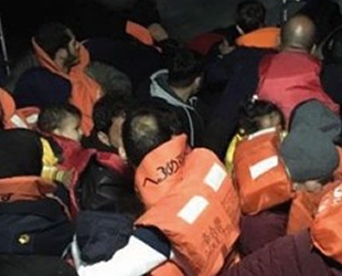Didim'de 43 düzensiz göçmen yakalandı