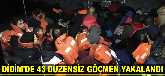 Didim'de 43 düzensiz göçmen yakalandı