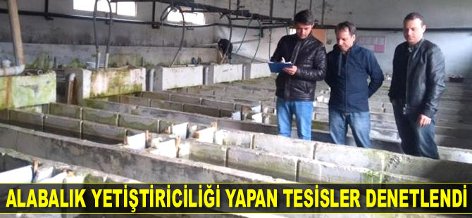 Alabalık yetiştiriciliği yapan tesisler denetlendi