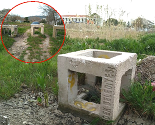 Denize atılan resifler 8 yıl sonra karada çıktı