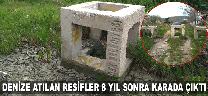 Denize atılan resifler 8 yıl sonra karada çıktı