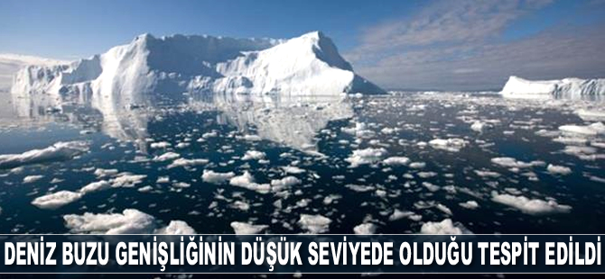 Arktik deniz buzu genişliğinin yine düşük seviyede olduğu tespit edildi