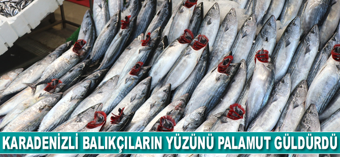 Karadenizli balıkçıların yüzünü palamut güldürdü