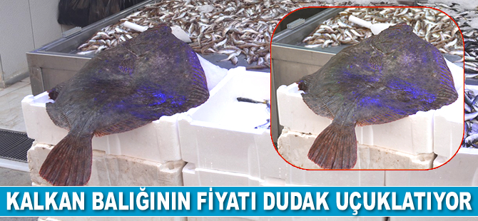 Kalkan balığının fiyatı dudak uçuklatıyor